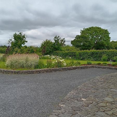 Conveniently Located House To Enjoy All Of Kerry Trá Lí Esterno foto